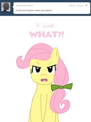 Size: 639x854 | Tagged: safe, artist:shiaran, posey, earth pony, pony, g1, angry, askposey, bow, female, hair bow, implied firefly, implied surprise, simple background, solo, tumblr, white background