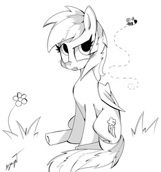 Size: 5615x6000 | Tagged: safe, artist:bloodyhellhayden, rainbow dash, bee, g4, absurd resolution, female, monochrome, solo