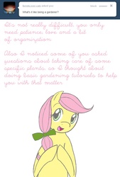 Size: 665x981 | Tagged: safe, artist:shiaran, posey, earth pony, pony, g1, ask, askposey, bow, female, gardening, hair bow, simple background, solo, tumblr, white background