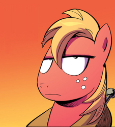 Size: 296x328 | Tagged: safe, idw, big macintosh, earth pony, pony, g4, disapproval, male, reaction image, solo, stallion