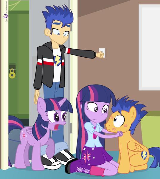 my little pony equestria girl twilight and flash