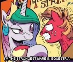 Size: 380x326 | Tagged: safe, idw, official comic, big macintosh, princess celestia, earth pony, pony, g4, spoiler:comic, spoiler:comic10, hoofwrestle, image macro, male, stallion