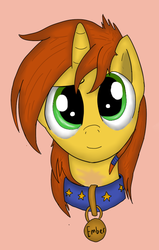 Size: 476x750 | Tagged: safe, oc, oc only, oc:emberbell, pony, unicorn, collar, female, mare, profile, solo, tumblr