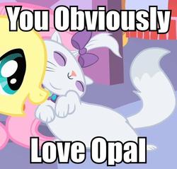 Size: 644x616 | Tagged: safe, edit, edited screencap, screencap, fluttershy, opalescence, g4, stare master, caption, eyes closed, image macro, nuzzling, open mouth, smiling, yolo