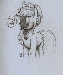 Size: 1188x1419 | Tagged: safe, artist:ashesandpudding, applejack, earth pony, pony, g4, female, hole, holes, mare, monochrome, no face, salt sphere, solo, sugarcube, surreal, traditional art, wat