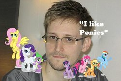 Size: 600x400 | Tagged: safe, applejack, fluttershy, pinkie pie, rainbow dash, rarity, spike, twilight sparkle, human, g4, edward snowden, irl, irl human, photo