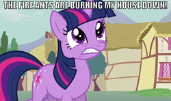 Size: 812x482 | Tagged: safe, twilight sparkle, g4, female, harsher in hindsight, image macro, solo