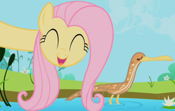Size: 700x444 | Tagged: safe, screencap, fluttershy, bird, bittern, pony, g4, animal, eyes closed, female, happy, long neck, mare, neck, open mouth
