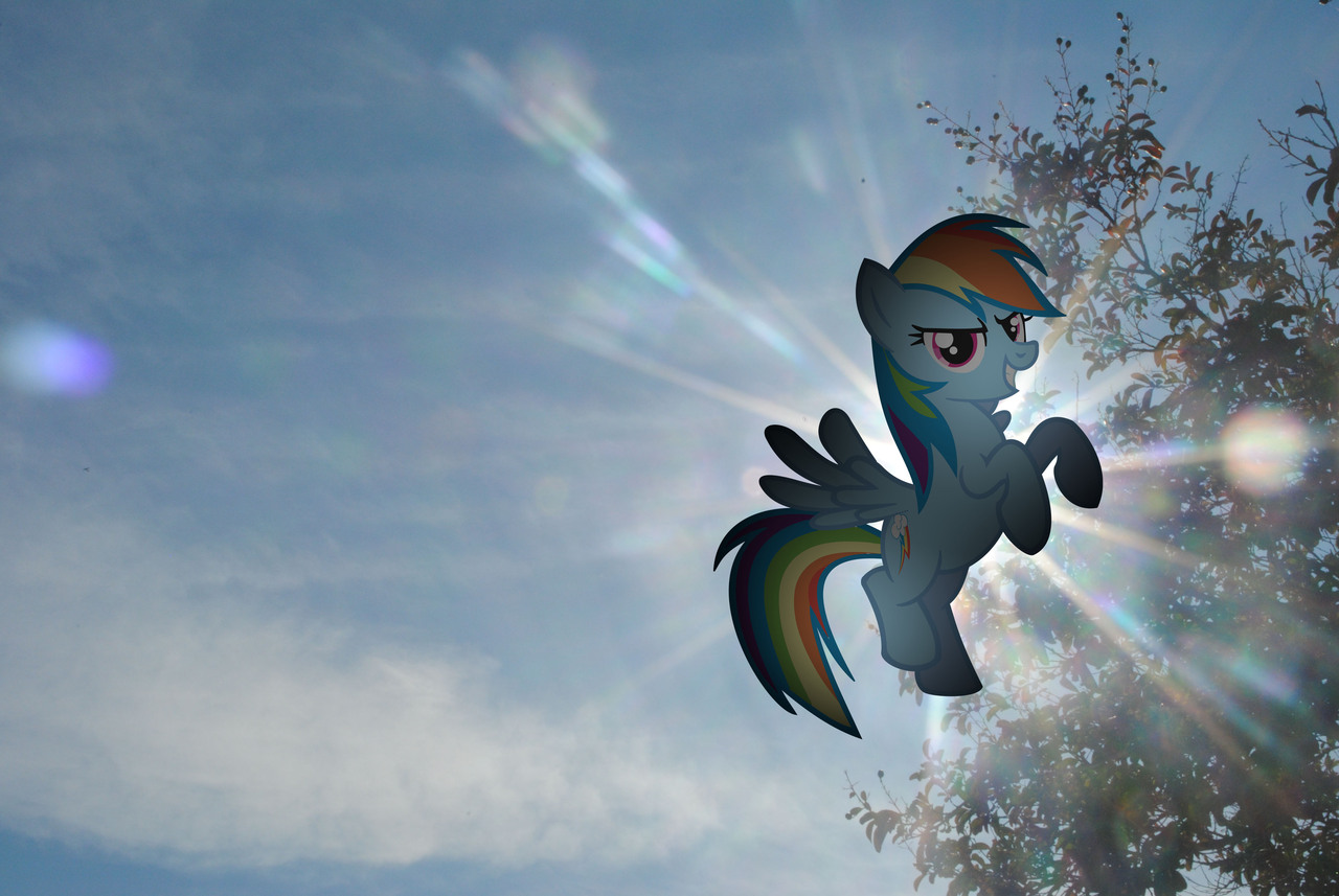 Фото rainbow dash