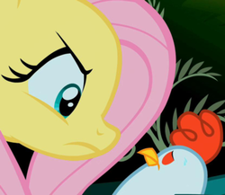 Size: 500x433 | Tagged: safe, screencap, fluttershy, chicken, cockatrice, pony, g4, stare master, cropped, duo, eyes, female, mare, red eyes, stare, the stare