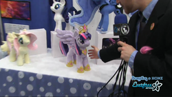 Size: 1920x1080 | Tagged: artist needed, safe, fluttershy, princess luna, rarity, twilight sparkle, human, bronycon, bronycon 2013, g4, irl, irl human, photo, plushie, twilight sparkle (alicorn)