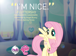 Size: 850x628 | Tagged: safe, fluttershy, pegasus, pony, g4, official, best pony contest, female, hub logo, hubble, logo, my little pony logo, poll, promo, quote, solo, text, the hub