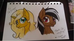 Size: 972x546 | Tagged: safe, artist:naomiknight17, oc, oc only, oc:star sparkler, oc:ticket, alicorn, pony, alicorn oc, ticketsparkler, traditional art