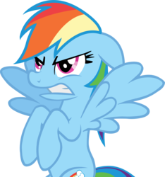 Size: 3827x4095 | Tagged: safe, artist:dabupl, rainbow dash, g4, female, simple background, solo, transparent background, vector