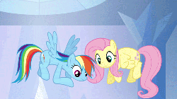 Size: 500x281 | Tagged: safe, screencap, fluttershy, rainbow dash, g4, games ponies play, animated, female