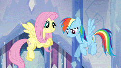 Size: 500x281 | Tagged: safe, screencap, fluttershy, rainbow dash, g4, games ponies play, animated, female