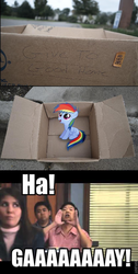 Size: 416x824 | Tagged: safe, rainbow dash, pegasus, pony, fanfic:my little dashie, g4, community, dashie meme, evil people finding dash meme, exploitable meme, ha gay, ken jeong, meme, neutral people finding dash meme, señor chang