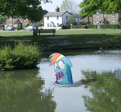 Size: 855x789 | Tagged: safe, artist:kuren247, rainbow dash, fish, g4, irl, photo, pond, ponies in real life, solo, water
