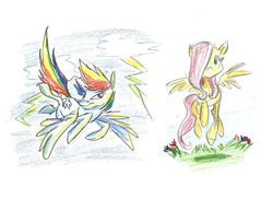 Size: 1000x726 | Tagged: safe, artist:romaniz, fluttershy, rainbow dash, g4, traditional art