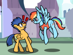 Size: 500x375 | Tagged: safe, flash sentry, rainbow dash, ask flash sentry, g4, pirate, pirate dash, tumblr