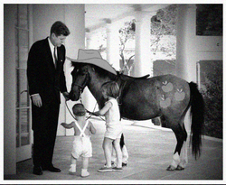 Size: 551x451 | Tagged: artist needed, safe, applejack, horse, human, g4, american presidents, caroline kennedy, child, clothes, hoers, irl, irl horse, irl human, jfk jr, john f. kennedy, necktie, photo, ponies in real life, president, suit