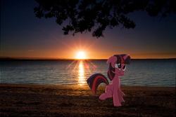 Size: 3456x2304 | Tagged: safe, twilight sparkle, pony, unicorn, g4, beach, female, irl, mare, photo, ponies in real life, shadow, solo, sun, sunset, unicorn twilight