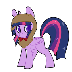 Size: 1000x1000 | Tagged: safe, artist:pegacornss, twilight sparkle, alicorn, pony, g4, bowtie, female, hood, mare, simple background, solo, transparent background, twilight sparkle (alicorn)