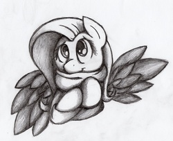 Size: 2471x2005 | Tagged: safe, artist:otto720, fluttershy, g4, clothes, cute, female, monochrome, pencil drawing, scarf, sketch, solo, traditional art