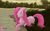 Size: 2592x1591 | Tagged: safe, artist:clouddg, pinkie pie, earth pony, pony, g4, crying, eyes closed, female, floppy ears, pinkamena diane pie, river, sad, solo