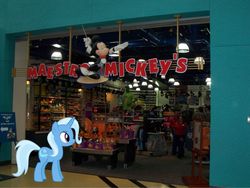 Size: 800x600 | Tagged: safe, trixie, g4, irl, photo, ponies in real life, walt disney world