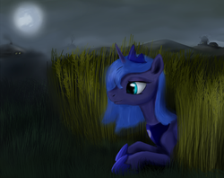 Size: 2378x1881 | Tagged: safe, artist:mindlesshead, princess luna, g4, female, hay, solo