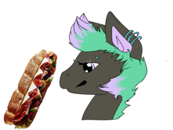 Size: 1024x768 | Tagged: safe, artist:hespreuswreak, oc, oc only, sandwich, solo