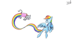 Size: 3344x2301 | Tagged: safe, artist:quynzel, rainbow dash, cat, g4, crossover, nyan cat, rainbow, traditional art