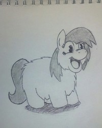 Size: 1839x2295 | Tagged: safe, artist:fluffsplosion, fluffy pony, happy, pac man eyes, sketch, solo