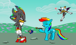 Size: 2000x1200 | Tagged: safe, artist:jackiephantom13, artist:shadoweco, rainbow dash, g4, crossover, heart, male, paintbrush, rouge the bat, shadow the hedgehog, sonic the hedgehog, sonic the hedgehog (series)