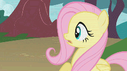 Size: 500x281 | Tagged: safe, screencap, fluttershy, dragonshy, g4, animated, female, solo