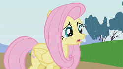 Size: 500x281 | Tagged: safe, screencap, fluttershy, dragonshy, g4, animated, female, solo