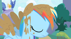 Size: 500x281 | Tagged: safe, screencap, rainbow dash, friendship is magic, g4, animated, female, grin, mud, smiling, solo