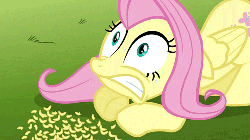 Size: 500x281 | Tagged: safe, screencap, fluttershy, g4, magic duel, season 3, animated, cowering, female, invisible stallion, nervous, scared, solo, sweat