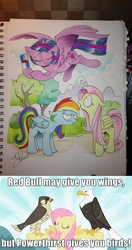 Size: 852x1615 | Tagged: safe, artist:andypriceart, edit, edited screencap, screencap, fluttershy, rainbow dash, twilight sparkle, alicorn, bald eagle, eagle, falcon, pegasus, peregrine falcon, pony, g4, may the best pet win, andy you magnificent bastard, female, flying, mare, powerthirst, red bull, red bull gives you wings, smuglight sparkle, traditional art, twilight sparkle (alicorn)