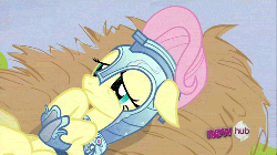Size: 500x281 | Tagged: safe, screencap, fluttershy, g4, season 3, the crystal empire, animated, armor, crystal empire, crystal guard armor, female, floppy ears, hub logo, implied rainbow dash, jousting outfit, on back, shadow, solo