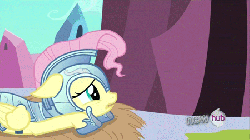 Size: 450x253 | Tagged: safe, screencap, fluttershy, rainbow dash, g4, season 3, the crystal empire, animated, armor, crystal empire, crystal guard armor, cute, duo, eye contact, female, floppy ears, glare, hay, hub logo, jousting outfit, pouting, pouty lips, prone, sad, shyabetes, talking