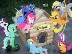 Size: 400x300 | Tagged: safe, applejack, derpy hooves, lyra heartstrings, pinkie pie, princess celestia, princess luna, rainbow dash, rarity, scootaloo, twilight sparkle, pegasus, pony, g4, 0chan, female, kennel, mare