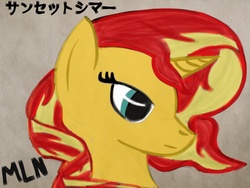 Size: 2048x1536 | Tagged: safe, artist:mylittleninja, sunset shimmer, pony, unicorn, equestria girls, g4, equestria girls ponified, female, ink, japanese, katakana, ponified, solo