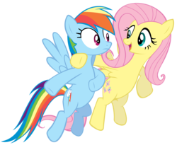 Size: 5000x4230 | Tagged: safe, artist:richhap, fluttershy, rainbow dash, pegasus, pony, may the best pet win, absurd resolution, duo, duo female, female, mare, simple background, transparent background, vector