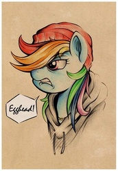 Size: 444x647 | Tagged: safe, artist:uglyapple, rainbow dash, g4, angry, beanie, clothes, female, hat, hoodie, necklace, one word, portrait, rainbow douche, solo, speech bubble, swag, traditional art