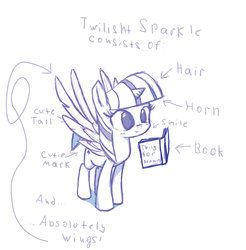 Size: 1537x1560 | Tagged: safe, edit, twilight sparkle, alicorn, pony, g4, alicorn drama, book, cute, diagram, drama, female, mare, reading, sketch, smiling, solo, spread wings, twilight sparkle (alicorn)