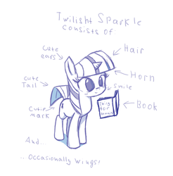 Size: 1537x1560 | Tagged: safe, artist:da-futaba, edit, twilight sparkle, alicorn, pony, g4, alicorn drama, book, cute, diagram, drama, female, mare, reading, smiling, solo, twilight sparkle (alicorn)