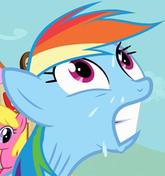 Size: 883x942 | Tagged: safe, screencap, rainbow dash, g4, solo focus, sweat