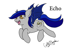 Size: 1500x1012 | Tagged: safe, artist:dordtchild, oc, oc only, oc:echo, bat pony, pony, female, mare, solo